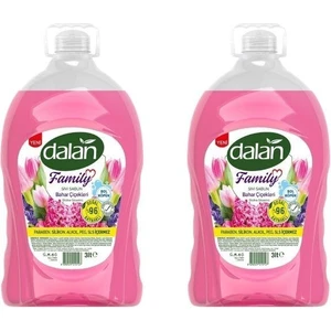 Dalan - Sıvı Sabun Bahar 3lt - 2 Adet