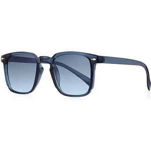 Aqua Di Polo 1987 Unisex Güneş Gözlüğü UV 400 Filtreli Mavi Cam ve Lacivert Çerçeve