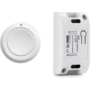 Akıllı Ev Kablosuz Işık Anahtarı Rf 433 Mhz Uzaktan Kumanda Ac 110 V 220 V Alıcı Basma Düğmesi Yatak Odası Tavan Lambası Anahtarı (Yurt Dışından)
