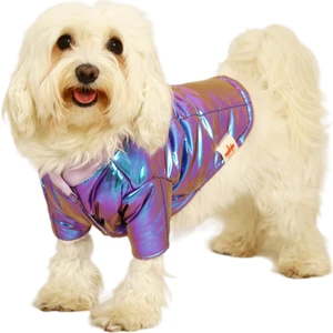 Nobledog Store Nobledog Mor Parlak Köpek Montu