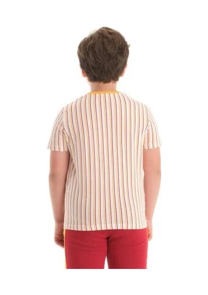 Lisanslı Çizgili Beyaz Unisex Çocuk T-Shirt modelleri