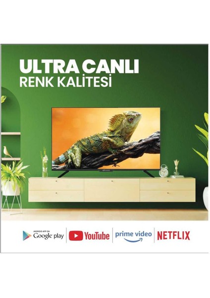 CT43AN100F 43" 108 Ekran Uydu Alıcılı Full HD Android LED TV fiyatları