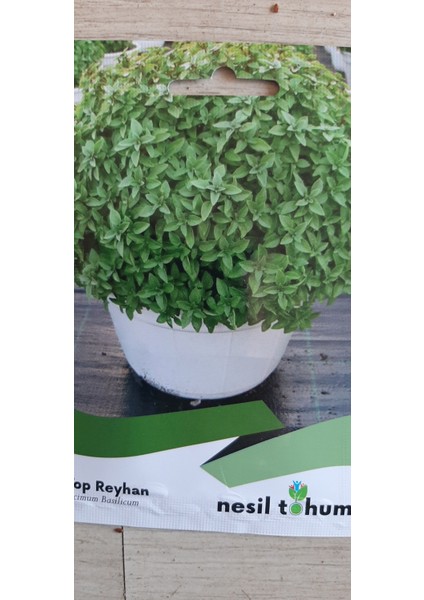 Top Reyhan Tohumu fiyatları
