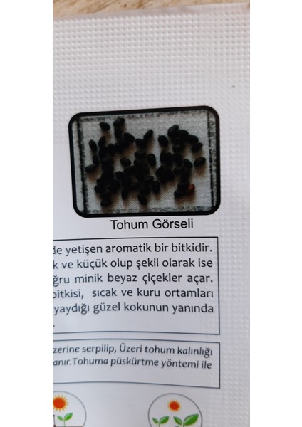 Top Reyhan Tohumu modelleri