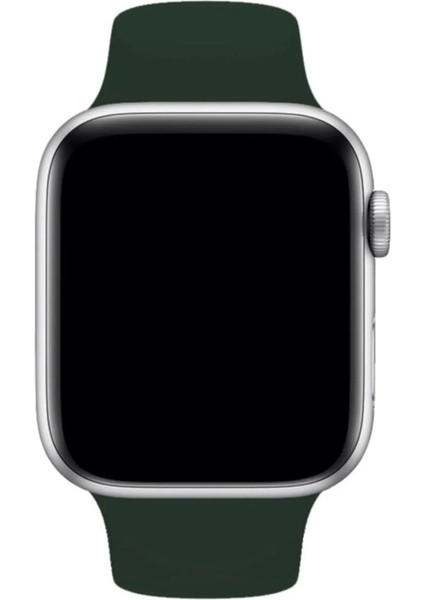 Vip Case Apple Watch Silikon Kordon 1/2/3/4/5/6/7/8/9/S E Serileri ile Uyumlu 38MM-40MM-41MM Uyumlu