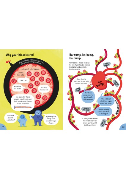 Lots of Things to Know About Your Body - Sarah Hull