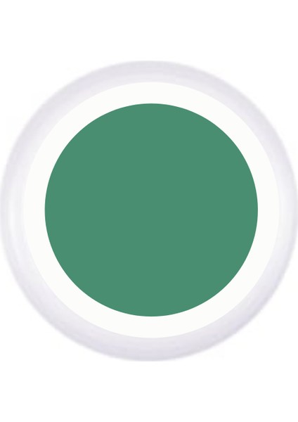 Paint Gel R15