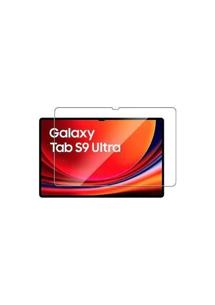 Samsung Galaxy Tab S9 Ultra 14.6 Inç SM-X910 Için Ekran Koruyucu 9h Esnek Nano