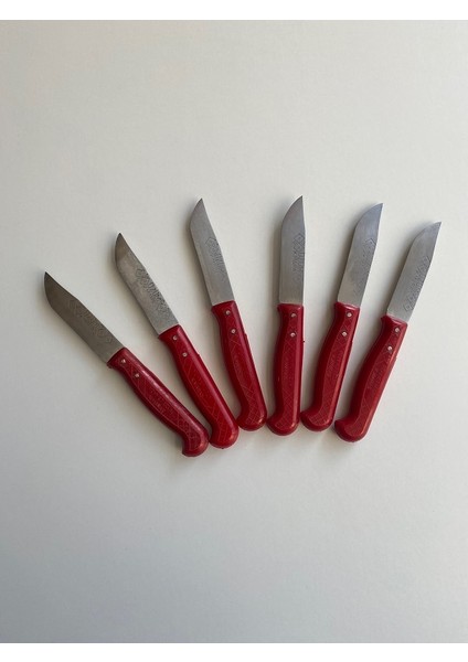 6 Adet Meyve Bıçağı 17 cm