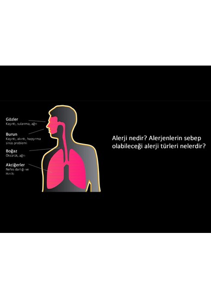 Anti Mite Ev Tozu Akarlarına Özel Hijyen Sprey 330 ml