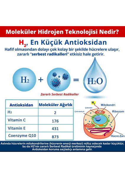 Hypogenx Genel Dezenfektan - 1.00 Litre Hipokloröz Asit Bazlı