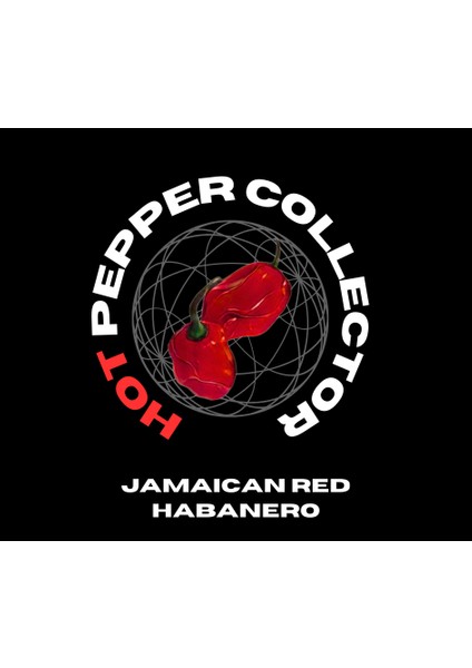 Hot Pepper Collector Jamaıcan Red Habanero / 425.000 Shu - 2 Adet Taze Biber