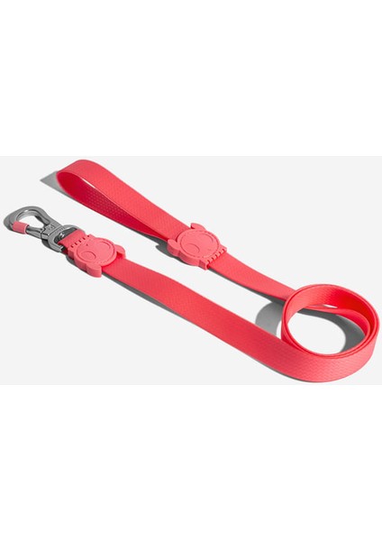 Neopro Bubblegum Gezdirme Tasması Small