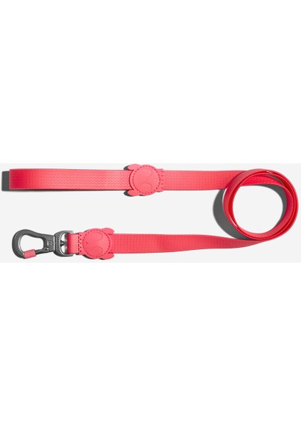 Neopro Bubblegum Gezdirme Tasması Small