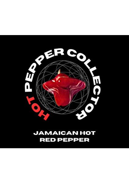 Hot Pepper Collector Jamaıcan Hot Red Pepper / 300.000 Shu - 2 Adet Taze Biber