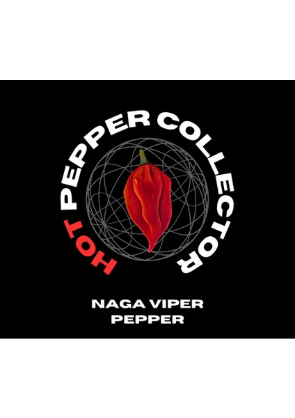 Hot Pepper Collector Naga Viper Pepper / 900.000 – 1.4 Milyon Shu - 2 Adet Taze Biber