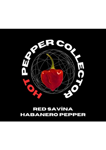 Hot Pepper Collector Red Savina Habanero Pepper 350.000 – 570.000  Milyon Shu - 2 Adet Taze Biber