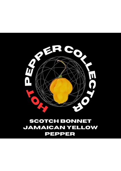 Hot Pepper Collector Scotch Bonnet Jamaıcan Yellow Pepper 350.000  Shu - 2 Adet Taze Biber