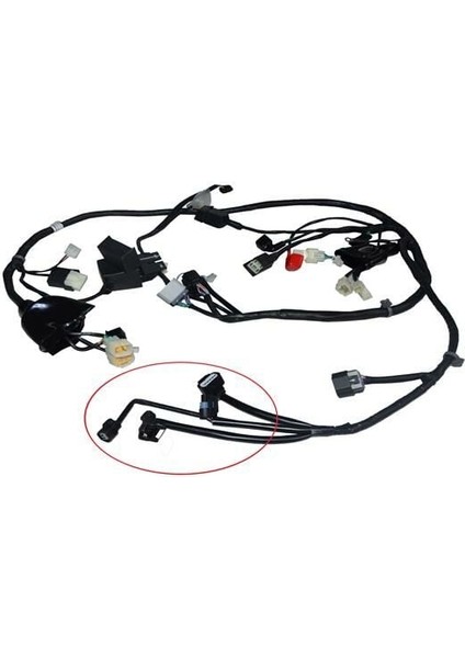 Rks Spontini 110 Elektrik Tesisatı Rangmao New Efi