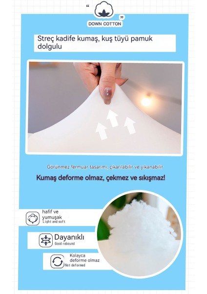 Ayı Peluş Oyuncak (Yurt Dışından)