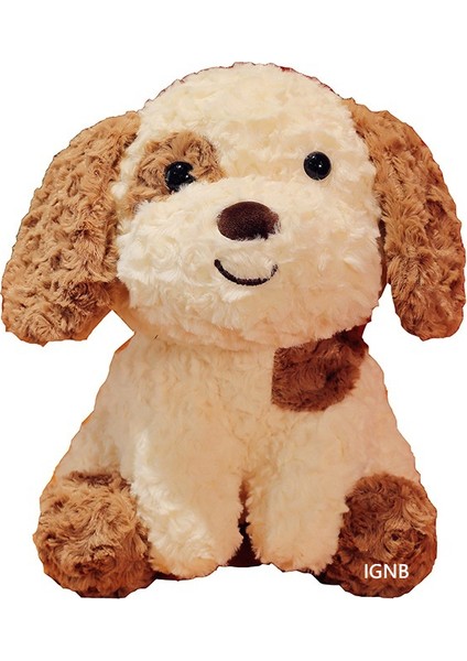 Köpek Oyuncakları (Yurt Dışından)