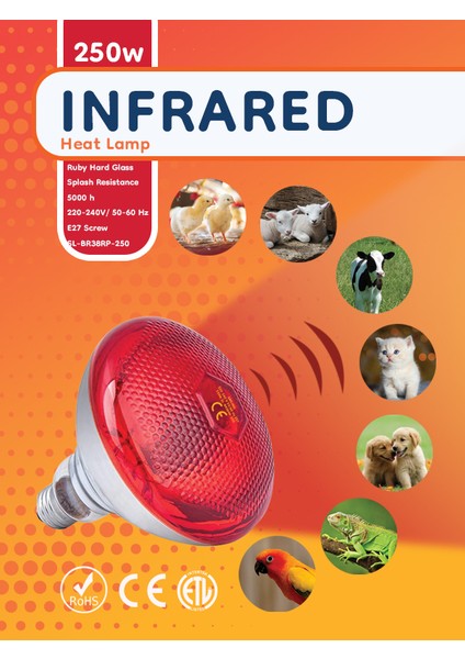 Infrared Isıtıcı Lamba /2 Adet