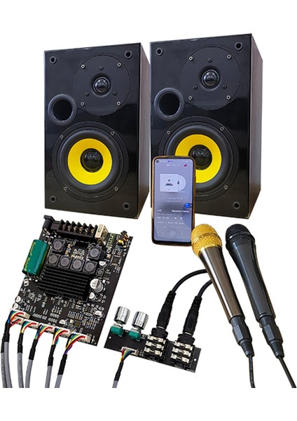 -AM100F Kurşun Tipi Ktv Mikrofon Ses Sistemi 2.1 Kanal Bluetooth Güç Amplifikatörü Kartı 50+50+100W (Yurt Dışından)