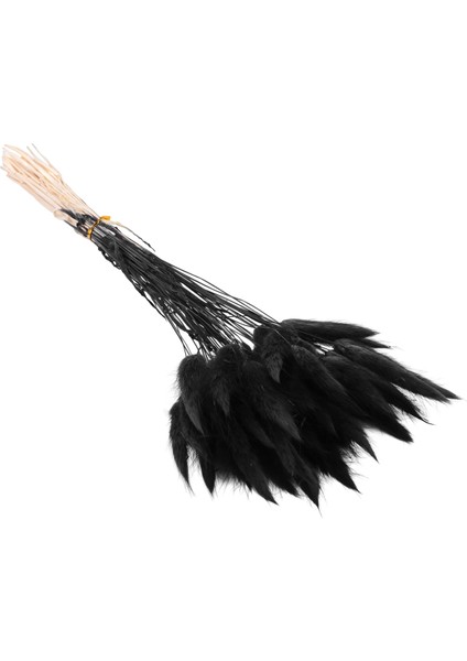 60 Adet Güz Kurutulmuş Çiçekler Tavşan Kurutulmuş Çiçekler Lagurus Ovatus Tavşan Kuyruğu Çim Kurutulmuş Çiçek (Siyah) (Yurt Dışından) modelleri