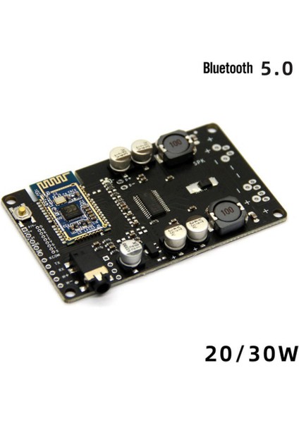 Tws TPA3118 Amplifikatör Ses Kartı Amplificador Aux 30W/20W CSRA64215 5.0 Bluetooth Alıcısı HY5066MTWS, Çağrıyı Desteklemiyor (Yurt Dışından)