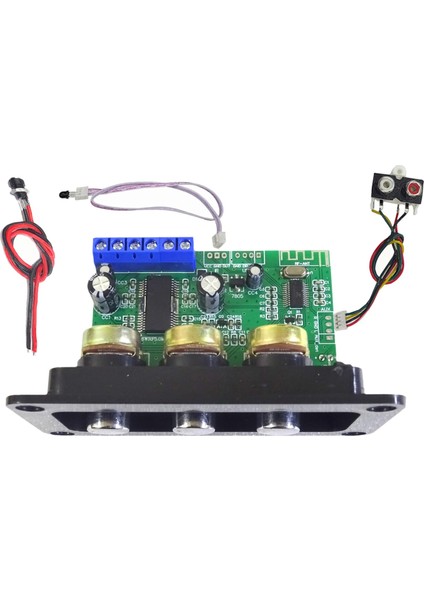 30 W Bluetooth Ses Amplifikatörü Kurulu Dc Dişi Kablo + Uzaktan Kumanda + Aux Kablosu Bt5.0 Mono Subwoofer Amplifikatör Kiti (Yurt Dışından)
