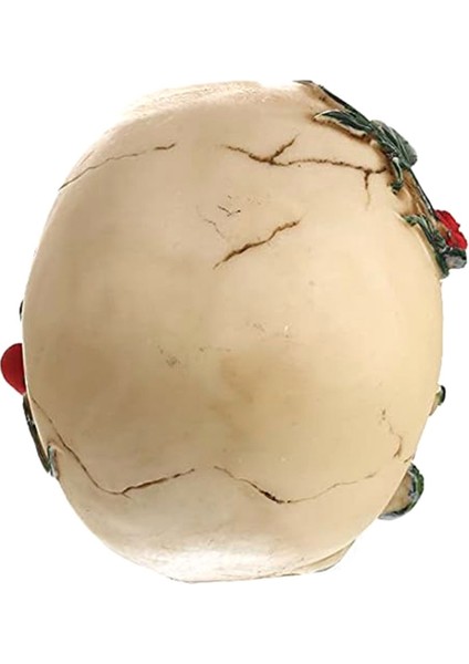 Gül Reçine Heykeli ile Insan Kafatası Küçük Boy Kafa Heykeller Kafatası Tahsil Figürler (Yurt Dışından) fırsatları