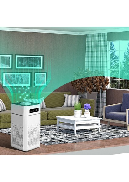 Taşınabilir Hava Temizleme Cihazı Ionizer Negatif Iyon Jeneratörü Duman Koku Giderme Hepa Filtre Araba Hava Spreyi (Yurt Dışından)