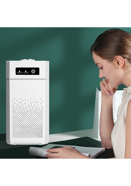 Taşınabilir Hava Temizleme Cihazı Ionizer Negatif Iyon Jeneratörü Duman Koku Giderme Hepa Filtre Araba Hava Spreyi (Yurt Dışından)