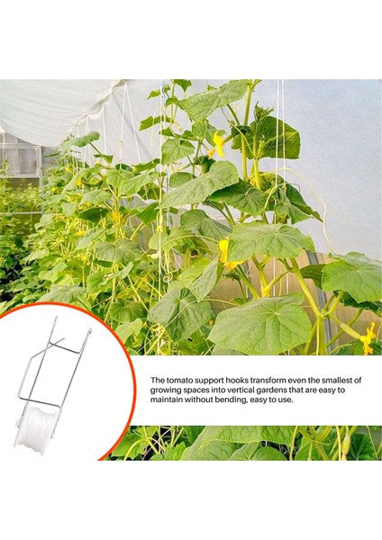 10 Adet Domates Destek Kancaları, Domates Kafes Makaralı Kancalar 15M Asma Destek Dize Halat Bitki Makaralı Kancalar (Yurt Dışından)