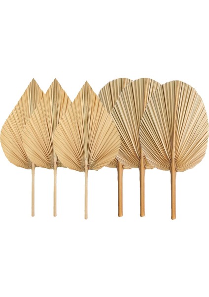 6 Adet Kurutulmuş Palmiye Yaprakları Kurutulmuş Palmiye Yaprakları Süslemeleri ve Yuvarlak Şekil Kurutulmuş Bitkiler Kesilmiş Boho Palmiye (Yurt Dışından)
