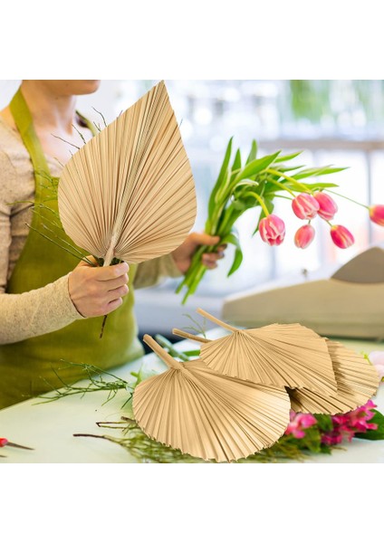 6 Adet Kurutulmuş Palmiye Yaprakları Kurutulmuş Palmiye Yaprakları Süslemeleri ve Yuvarlak Şekil Kurutulmuş Bitkiler Kesilmiş Boho Palmiye (Yurt Dışından) modelleri