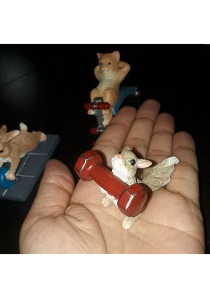 Sevimli Domuz Süs Spor Tavşan Sincap Hayvan Figürleri Egzersiz Serisi Reçine Zanaat Masa Süslemeleri-A (Yurt Dışından) modelleri