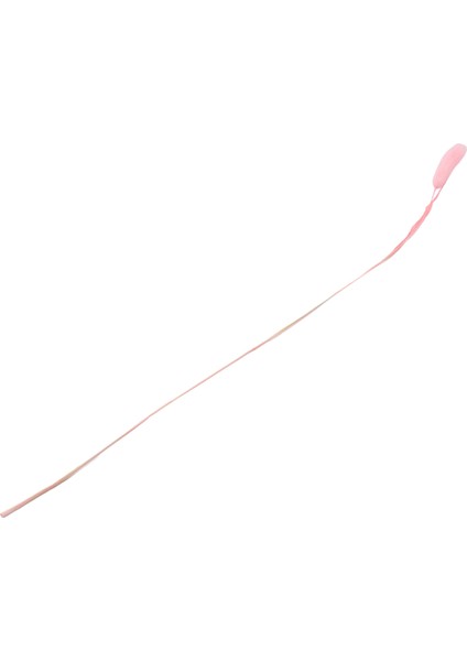 60 Adet Güz Kurutulmuş Çiçekler Tavşan Kurutulmuş Çiçekler Lagurus Ovatus Tavşan Kuyruğu Çim Kurutulmuş Çiçek (Pembe) (Yurt Dışından) fırsatları