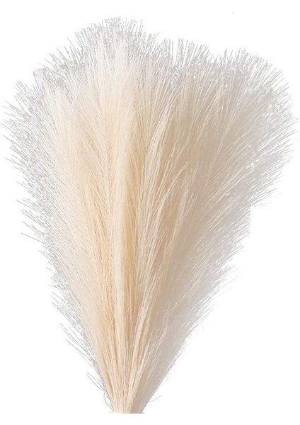 Sahte Pampas Otu, 18IN/45CM Yapay Pampas Otu 5 Kök Görkemli Çim Çiçek Aranjmanı (Bej) (Yurt Dışından)
