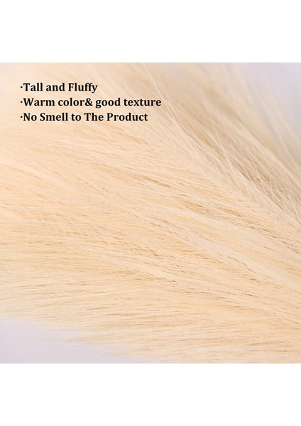 Sahte Pampas Otu, 18IN/45CM Yapay Pampas Otu 5 Kök Görkemli Çim Çiçek Aranjmanı (Bej) (Yurt Dışından) indirimleri