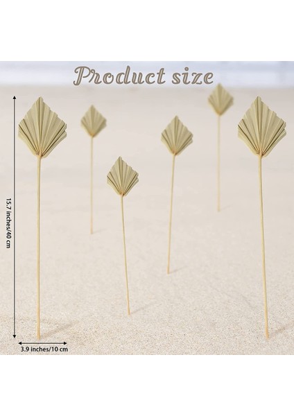 Doğal Büyük Kurutulmuş Palmiye Yaprakları-8 Adet Stil Sanat Duvar Asılı Süsleme Düğün Dekor Için Kurutulmuş Palmiye Mızrakları (Yurt Dışından) modelleri