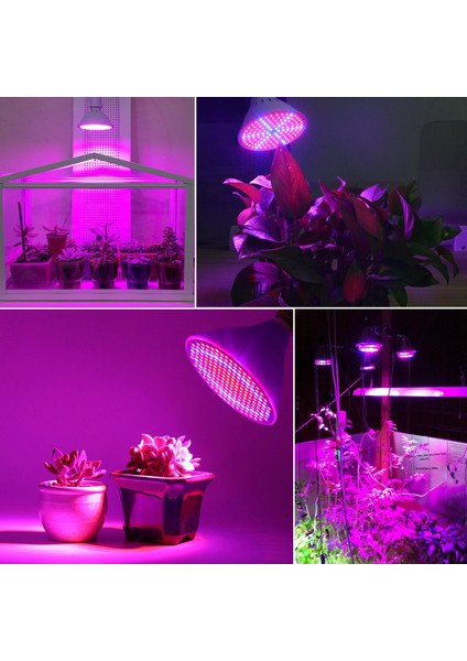Phyto Lambalar E27 LED Tam Spektrum Büyümek Işık Smd 3528 LED Ampuller Fide 200LEDS Sera Için Bitki Büyüyen Lamba (Yurt Dışından) fırsatları