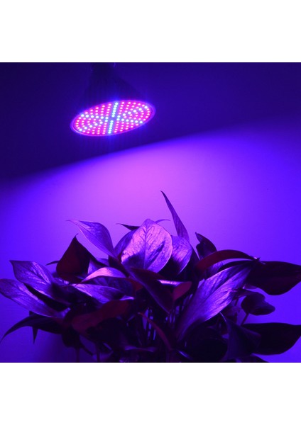 Phyto Lambalar E27 LED Tam Spektrum Büyümek Işık Smd 3528 LED Ampuller Fide 200LEDS Sera Için Bitki Büyüyen Lamba (Yurt Dışından) indirimleri