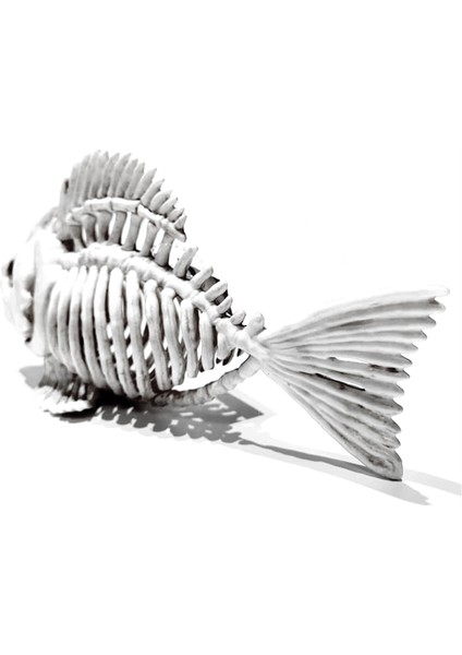 Balık Cadılar Bayramı Dekor Modeli, Plastik Hayvan Sazan Kafatası Balıklar Kemik Sanat Süsler, Ev Odası Yatak Odası Dekor Için (Yurt Dışından) fırsatları