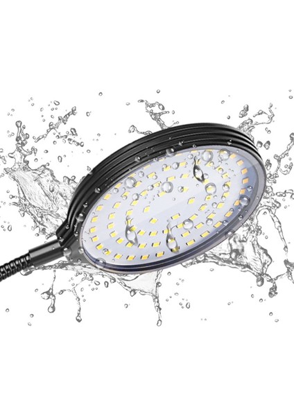 USB 15W Bitki Büyümek Lamba LED Tam Spektrum Büyüme Ampuller Fide Çiçek Fito Lamba Kapalı Topraksız Bitkiler Için (Yurt Dışından)