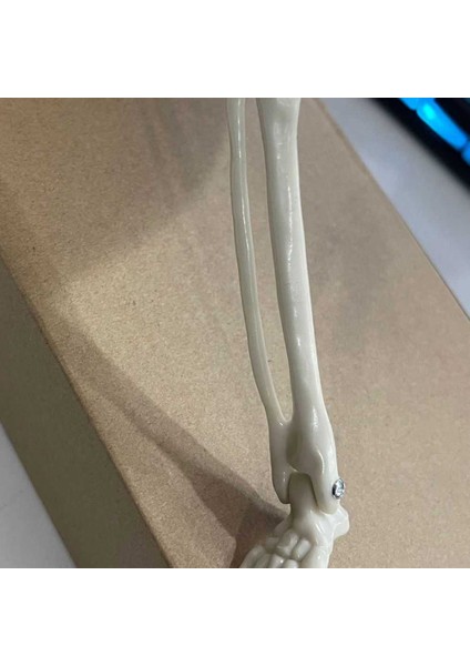 Kırmızı LED Gözler ile Ürpertici, Cadılar Bayramı Kemancı Süsleri, Korkunç Asılı Cadılar Bayramı Dekorasyon Prop Sarı (Yurt Dışından) modelleri