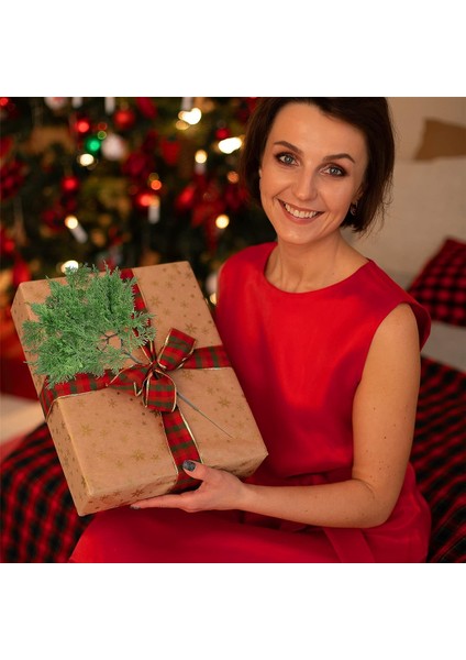 Noel Çam Dalları, 16,5 x 9 Inç Sahte Dallar Yapay Dallar Seçtikleri (12 Adet) (Yurt Dışından) fiyatları