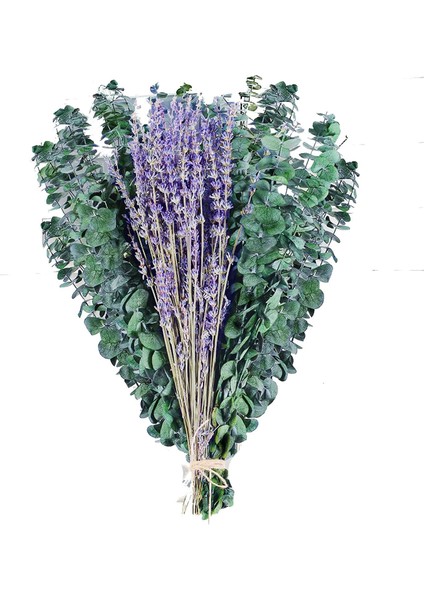 15 Adet Kurutulmuş Korunmuş Okaliptüs Sapları ve Duş Için Lavanta Çiçekleri Paketleri, 17IN Okaliptüs Yaprakları Duş Tesisi Kaynaklanıyor (Yurt Dışından)