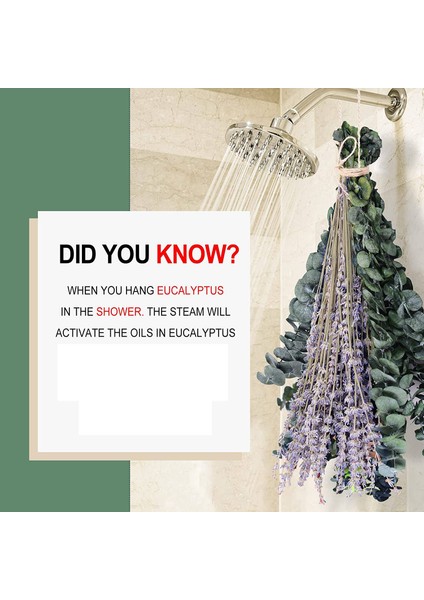 15 Adet Kurutulmuş Korunmuş Okaliptüs Sapları ve Duş Için Lavanta Çiçekleri Paketleri, 17IN Okaliptüs Yaprakları Duş Tesisi Kaynaklanıyor (Yurt Dışından) indirimleri