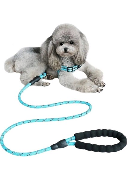 130 cm'lik Kayışı Metal Kancalı Fosforlu Reflektörlü Köpek Gezdirme Halatı Tasma indirimleri